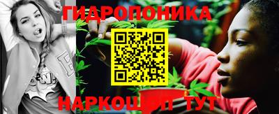 стаф Ливны