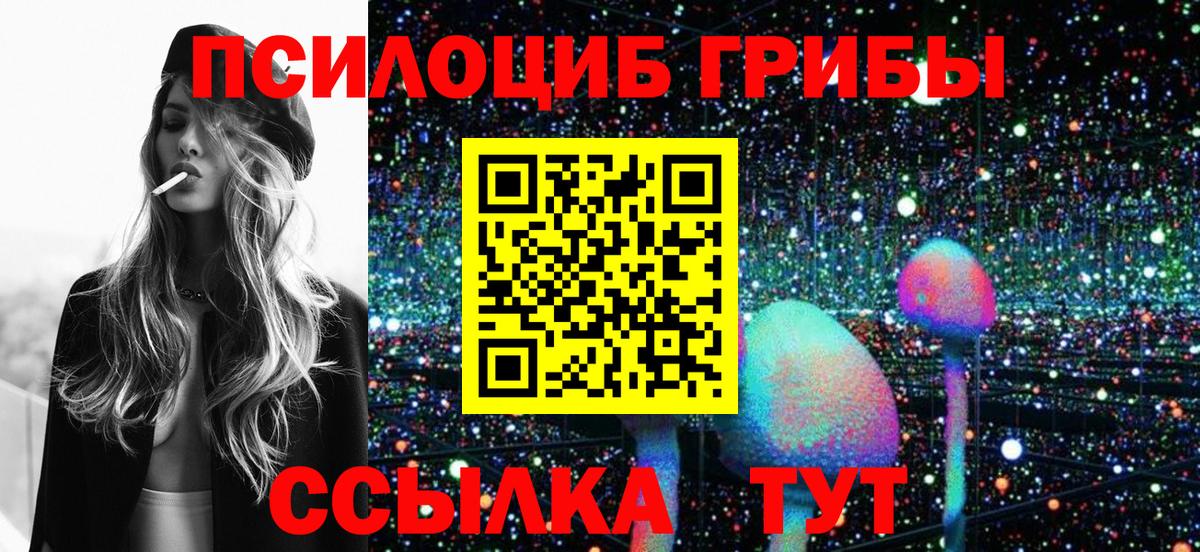 Псилоцибиновые грибы Cubensis Малгобек